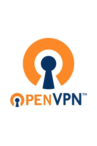 OpenVPN icon