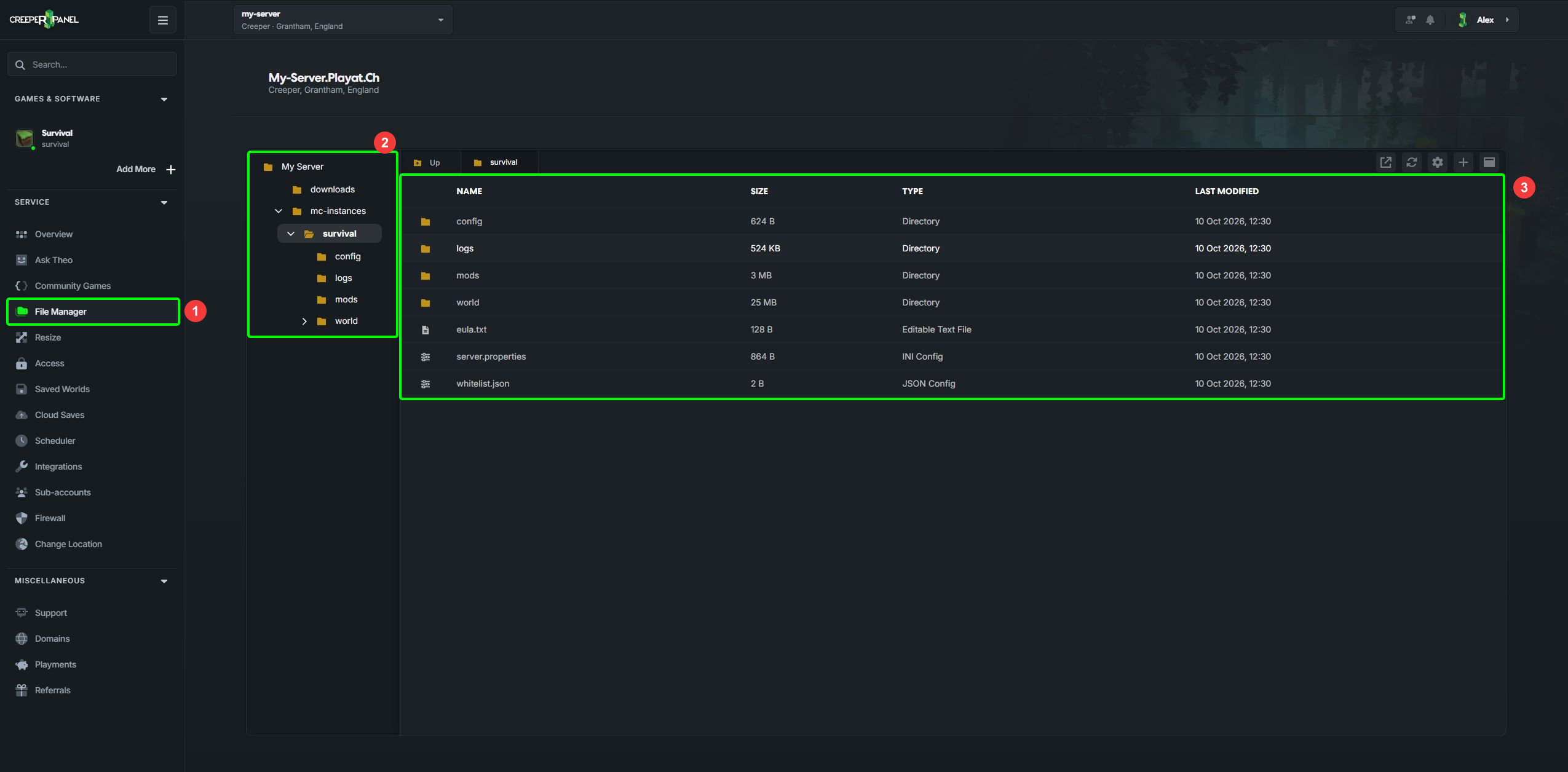 File Manager with its folder tree and file list