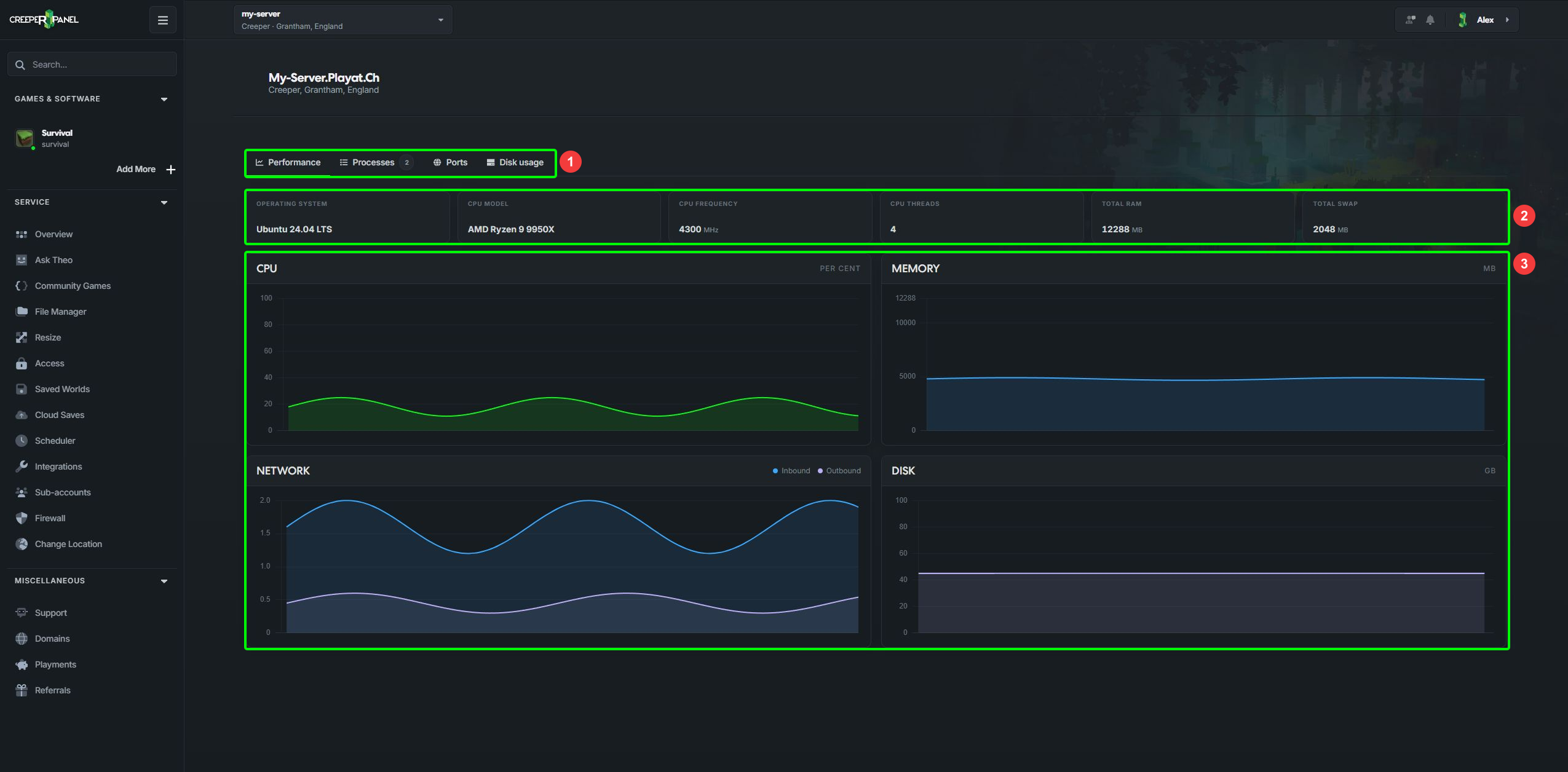 Monitor tabs, server details and performance graphs