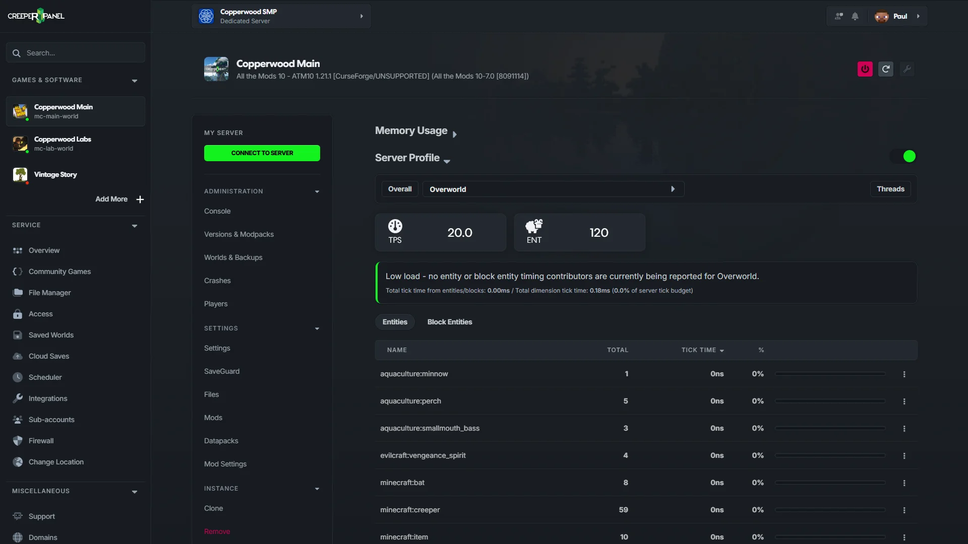 CreeperPanel Minecraft diagnostics showing RAM, TPS, and diagnostic information.