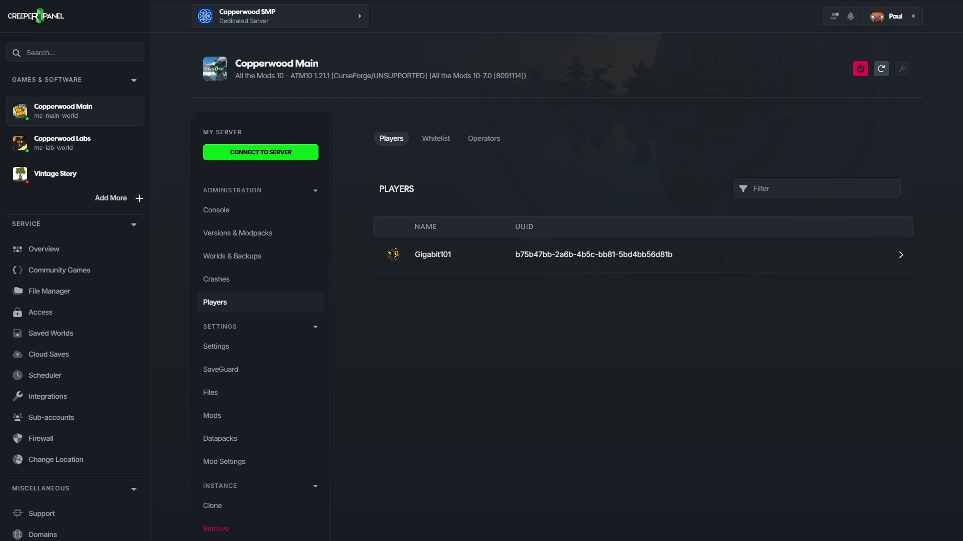 CreeperPanel Minecraft players page showing player, whitelist, and operator tabs with a player row.
