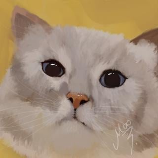 Modpack artwork