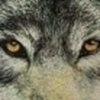 Modpack artwork